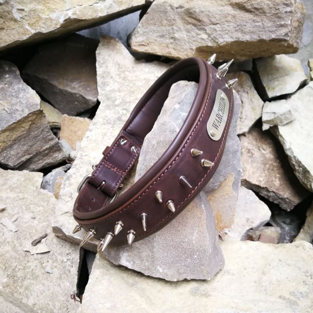 Leather Dog Collar with Nameplate and Spikes