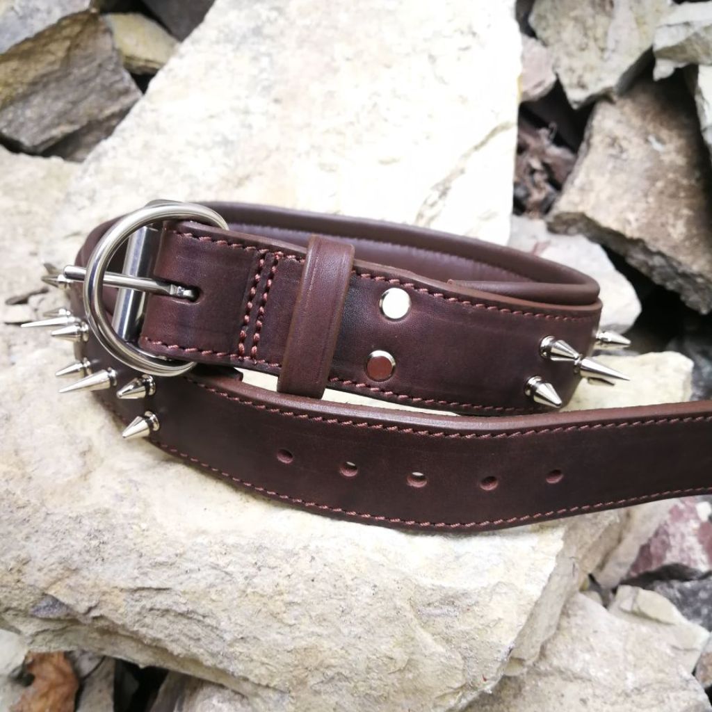 Leather Dog Collar with Nameplate and Spikes