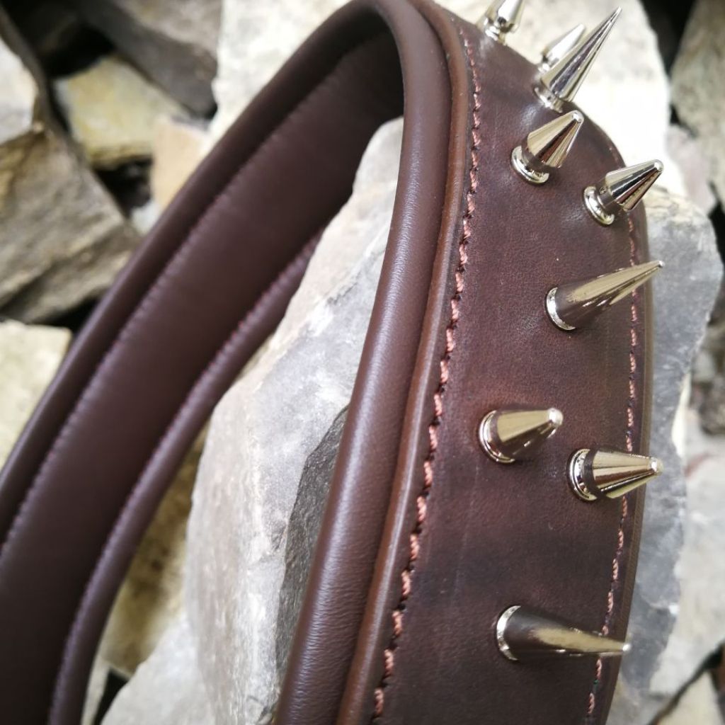 Leather Dog Collar with Nameplate and Spikes