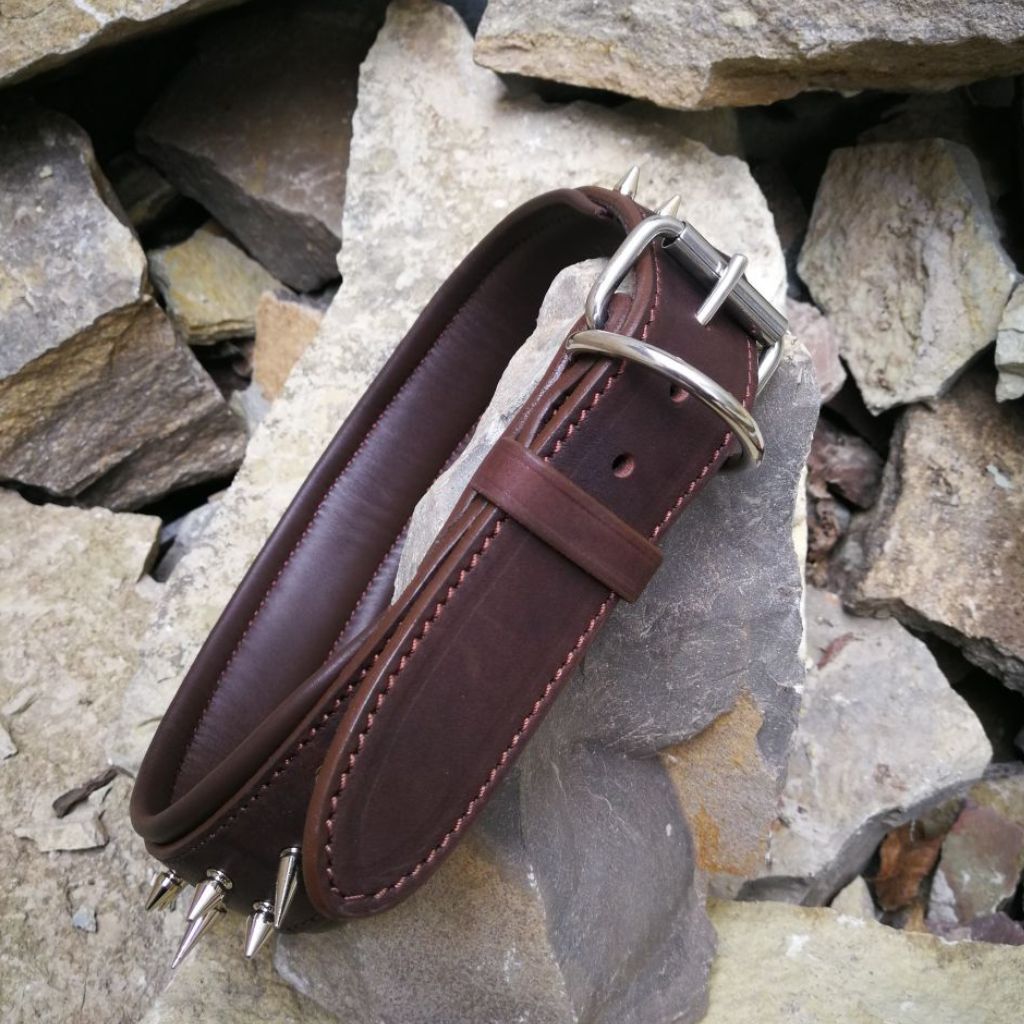Leather Dog Collar with Nameplate and Spikes