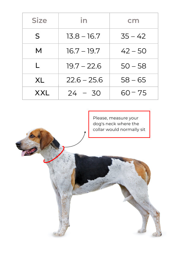 Yellow waterproof dog collar and leash set