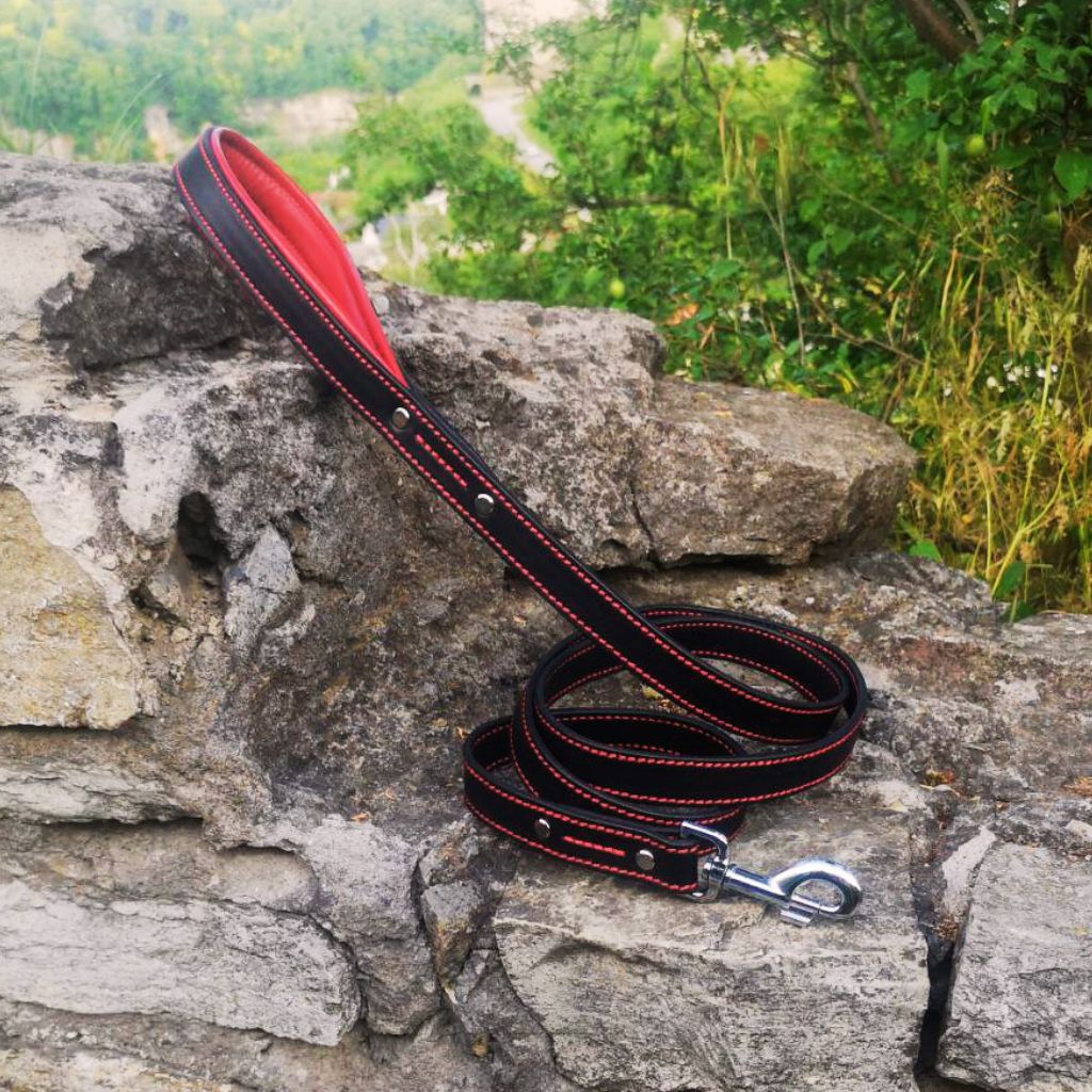 Red Leather Dog Leash