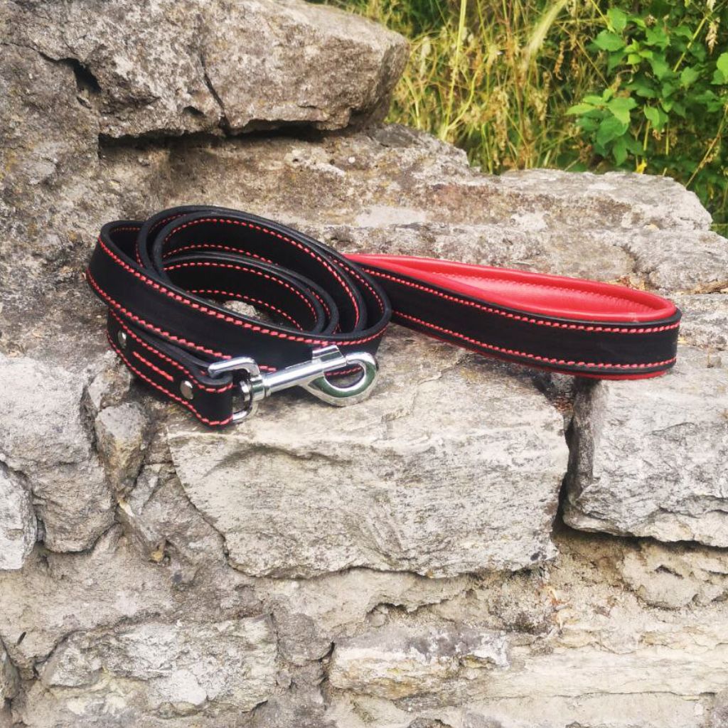 Red Leather Dog Leash