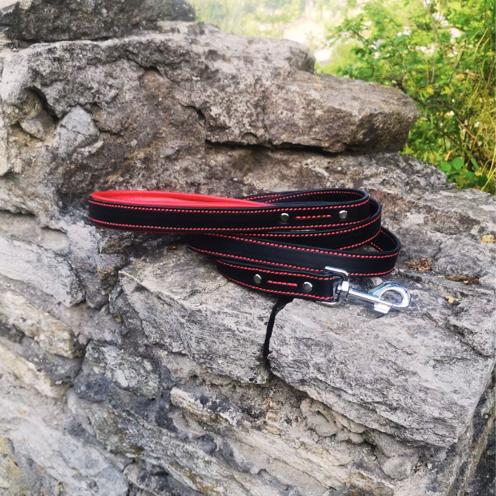 Red Leather Dog Leash