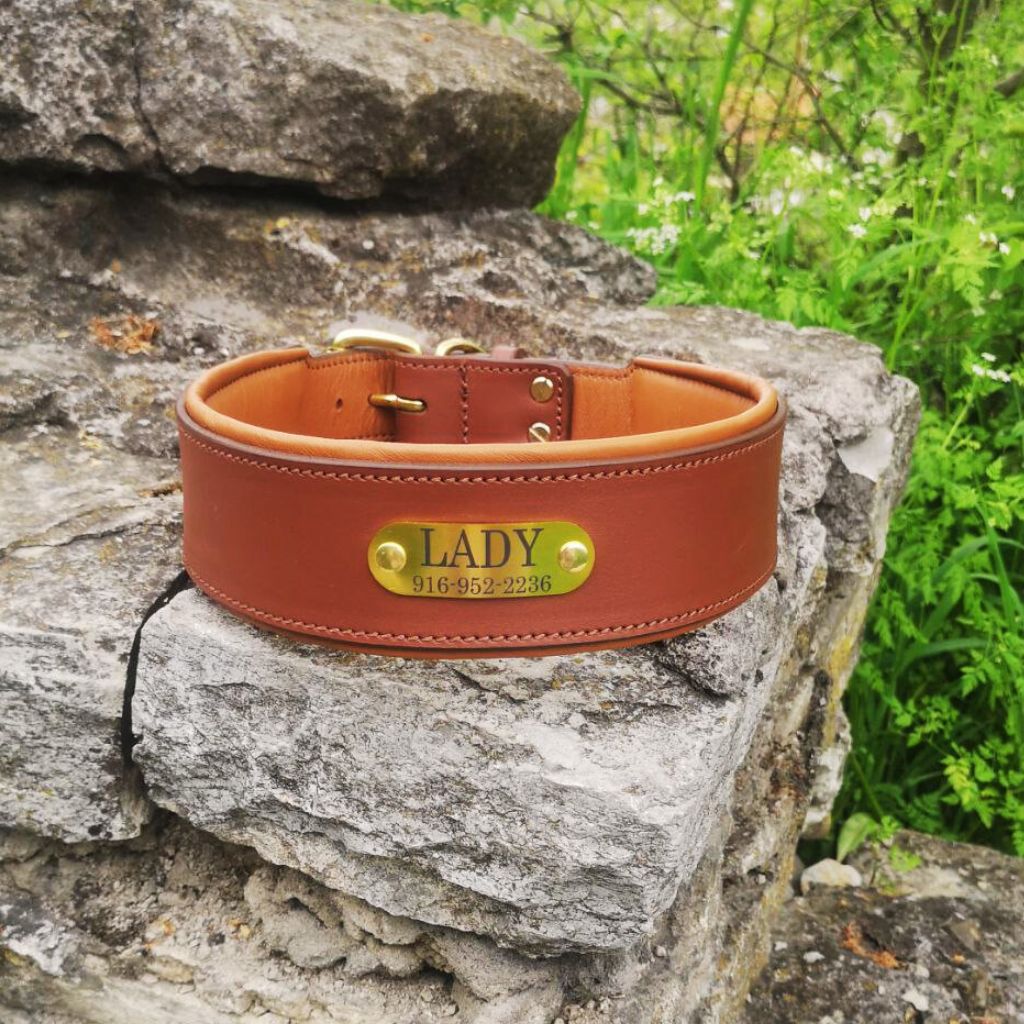 Leather Collar with Brass Nameplate1