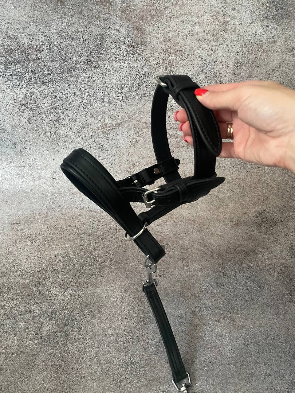 Leather Dog Head Collar