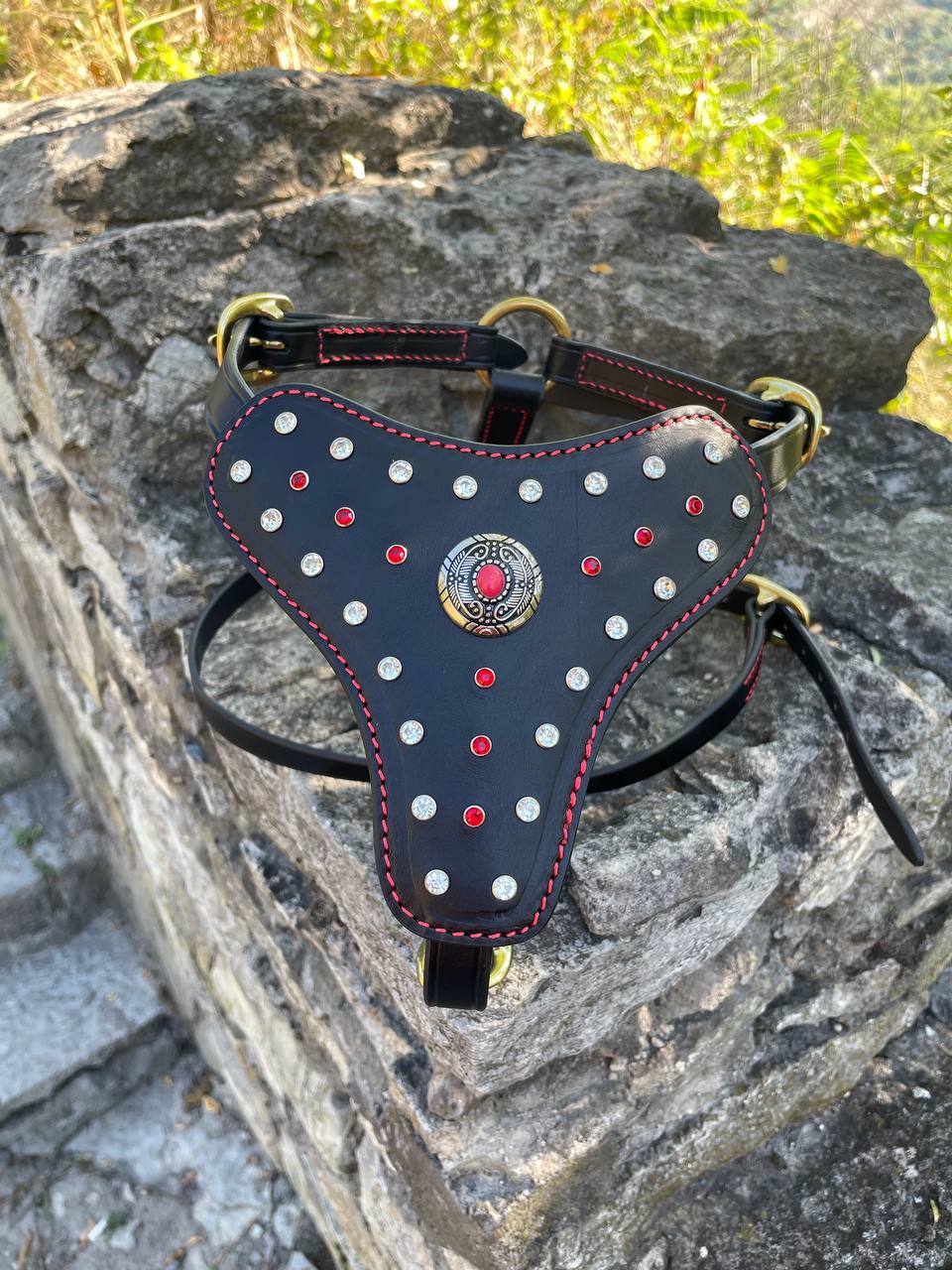 Rhinestones Leather Harness