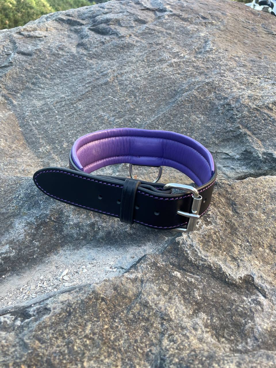 Black and Purple Leather Dog Collar and Leash Set