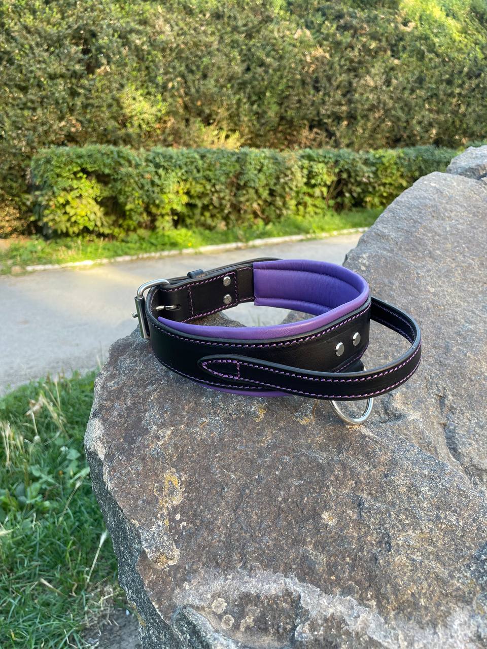 Black and Purple Leather Dog Collar and Leash Set