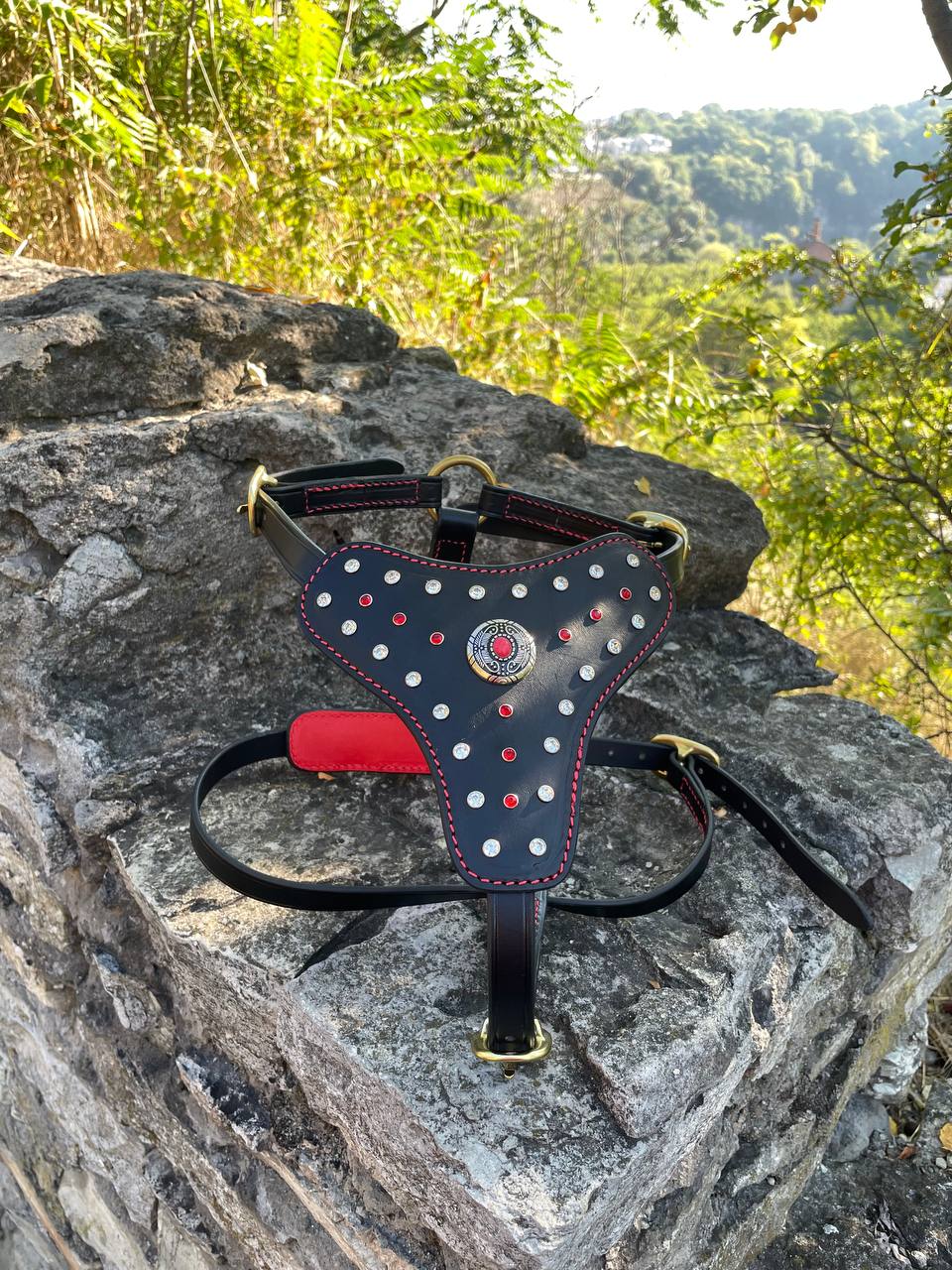 Rhinestones Leather Harness