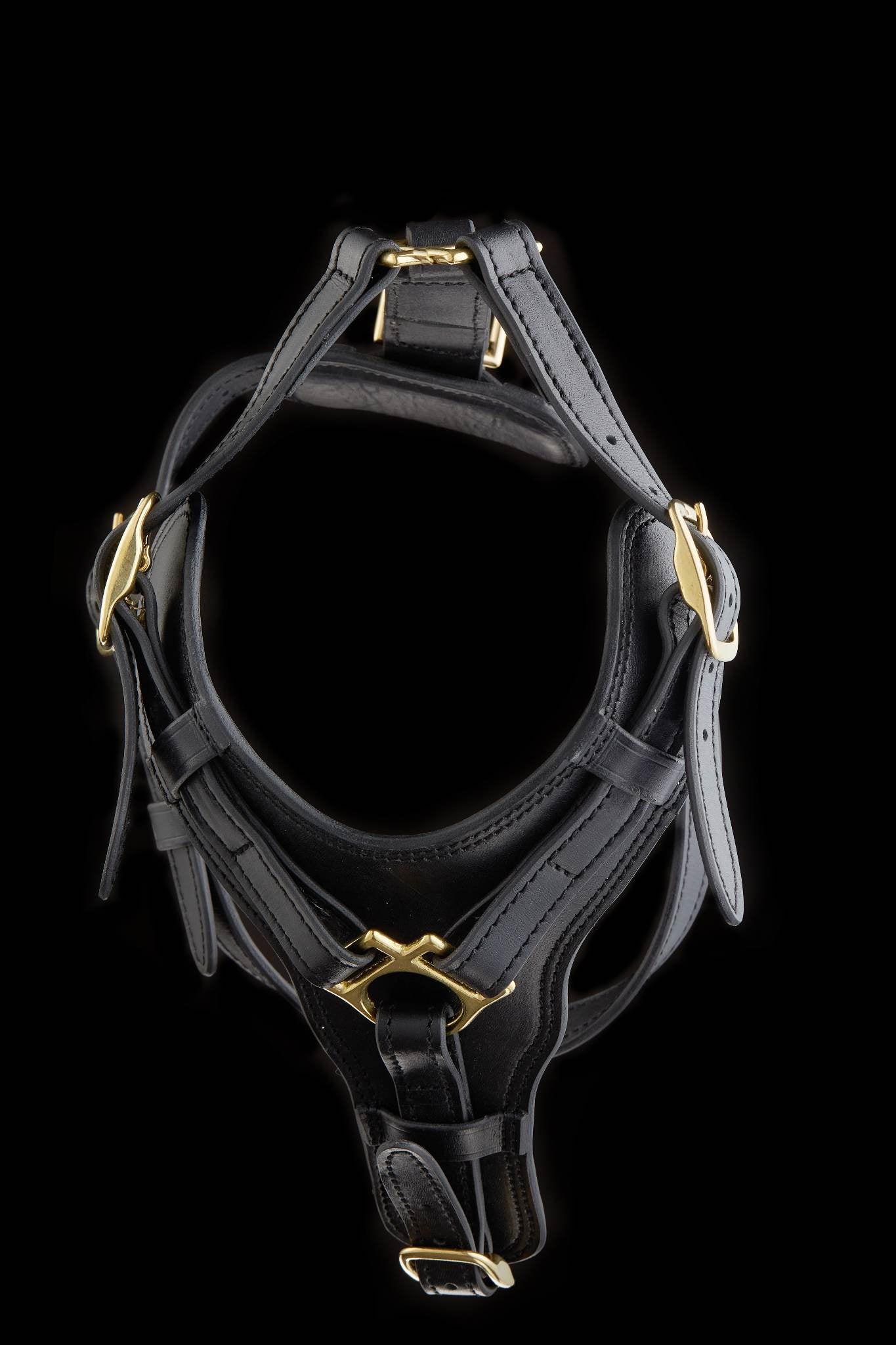 Leather Dog Harness with Padded Y-shaped Breastplate