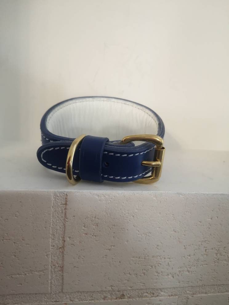 Blue Leather Hound Collar for Greyhound, Decorated Hound Collar, Leather Soft-padded Greyhound collar, Dog collar with solid brass fittings