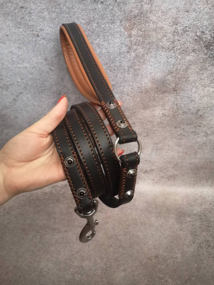 Luxury Leather Dog Leash with Decor, Glamorous Leather Leather Leash 3/4 in, 2 cm Leather Leash for Medium and Big Dog with Stainless steel