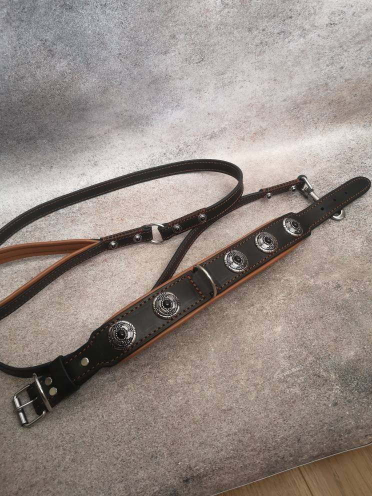 Luxury Leather Dog Collar and Leash Set with Decor and Stainless Steel Snap and Buckle, Fancy Leather Padded Collar with Padded Handle