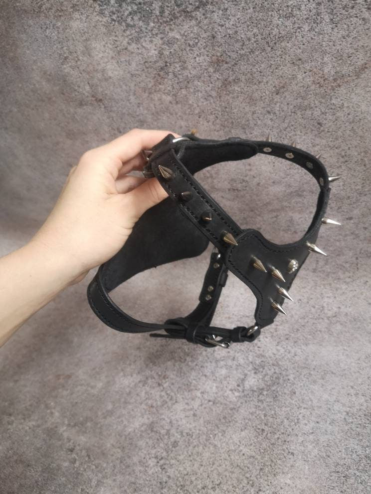 Brutalist Spikes and Skull Small Dog Leather Harness, Chihuahua Spiked Dog Collar, Leather Dog Harness Vest, Small Dog Padded Harness