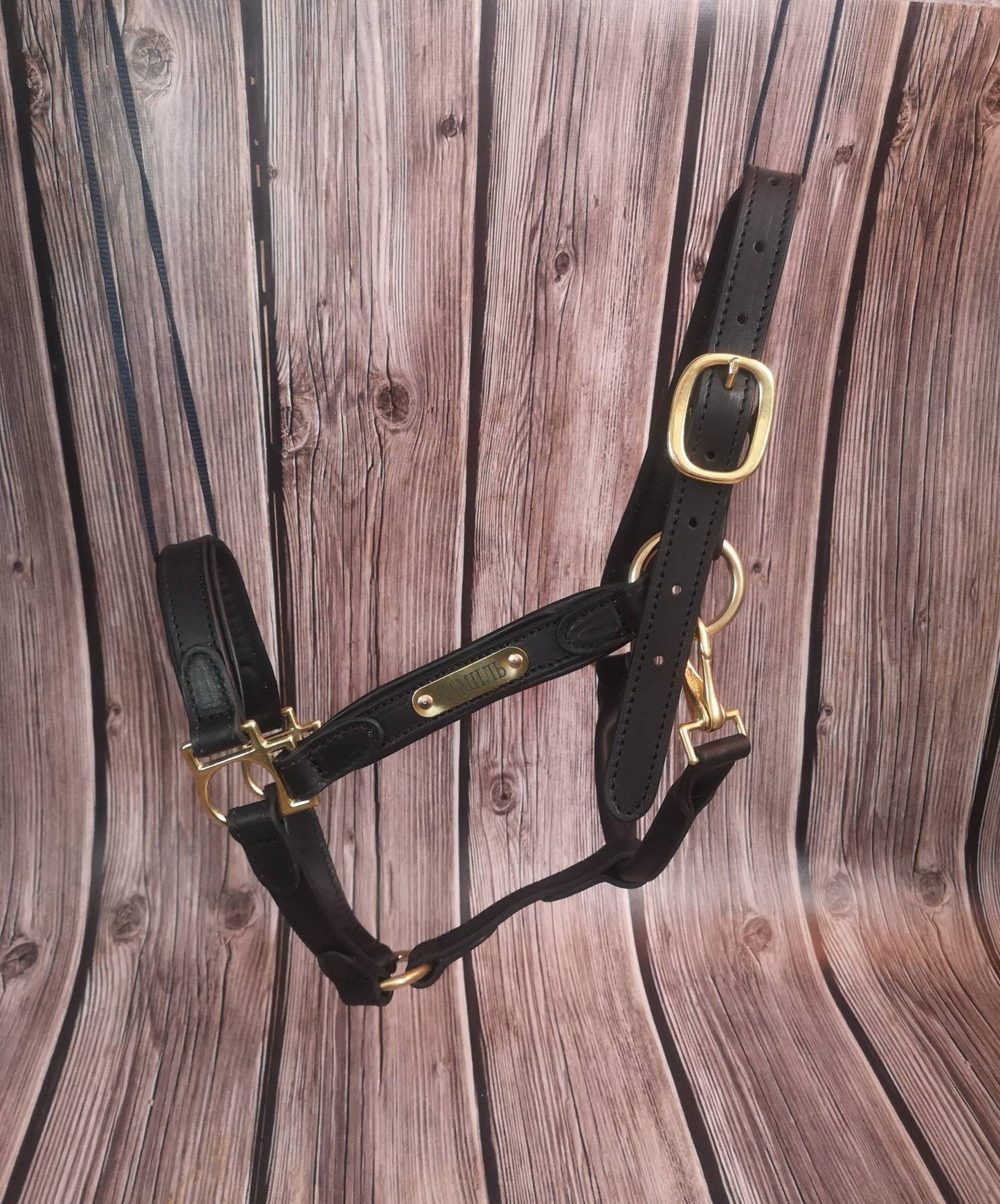 Custom Name Leather Horse Halter with Engraved Golden Nameplate, Black Padded Genuine Leather Halter for Horse, Brass Hardware Halter Horse