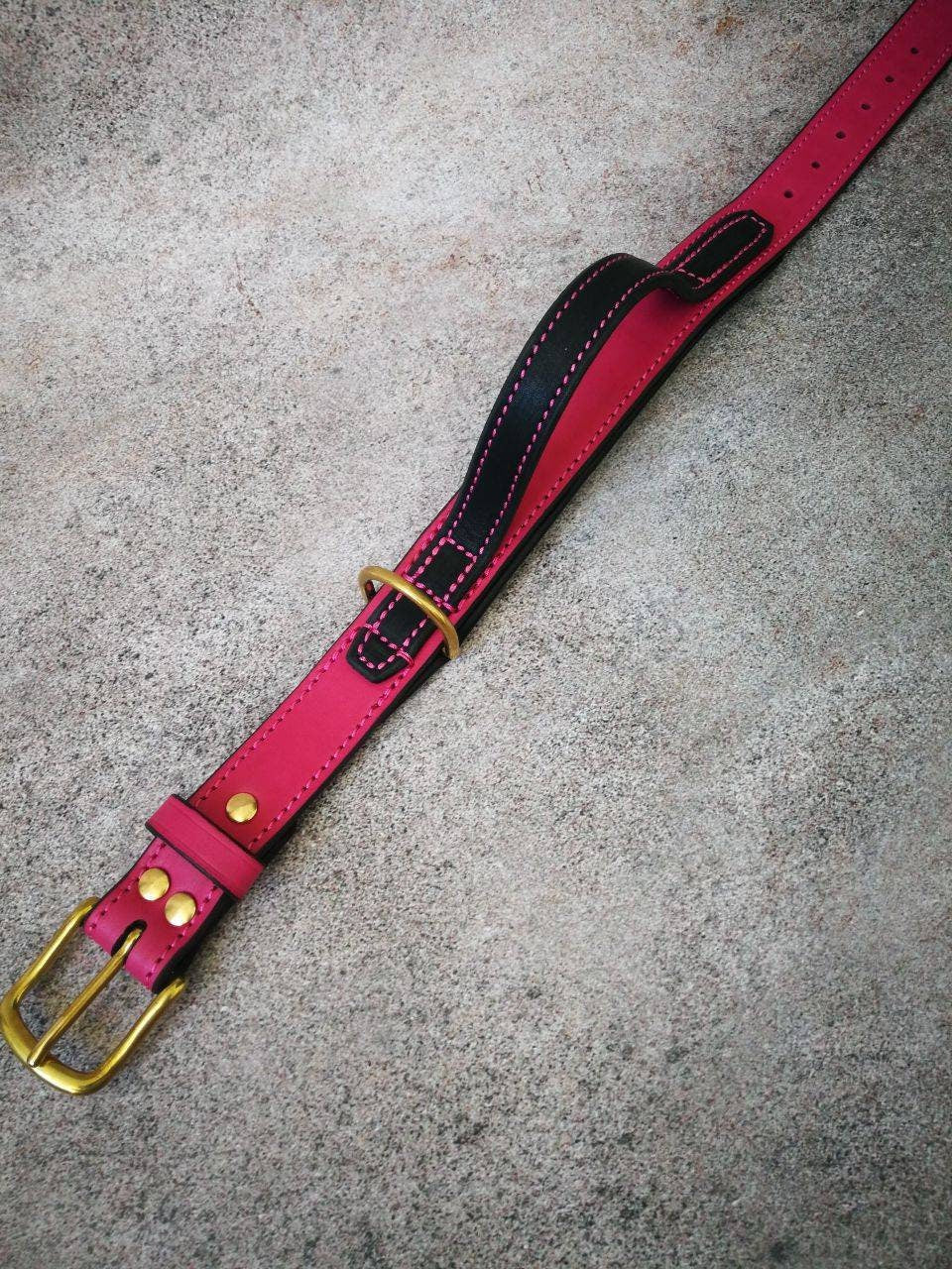 Leather Dog Collar with Handle, Pink Dog Collar, Pink Leather Dog Collar, Handle Dog Collar, Stylish Dog Collar, Tracking Walking Dog Collar