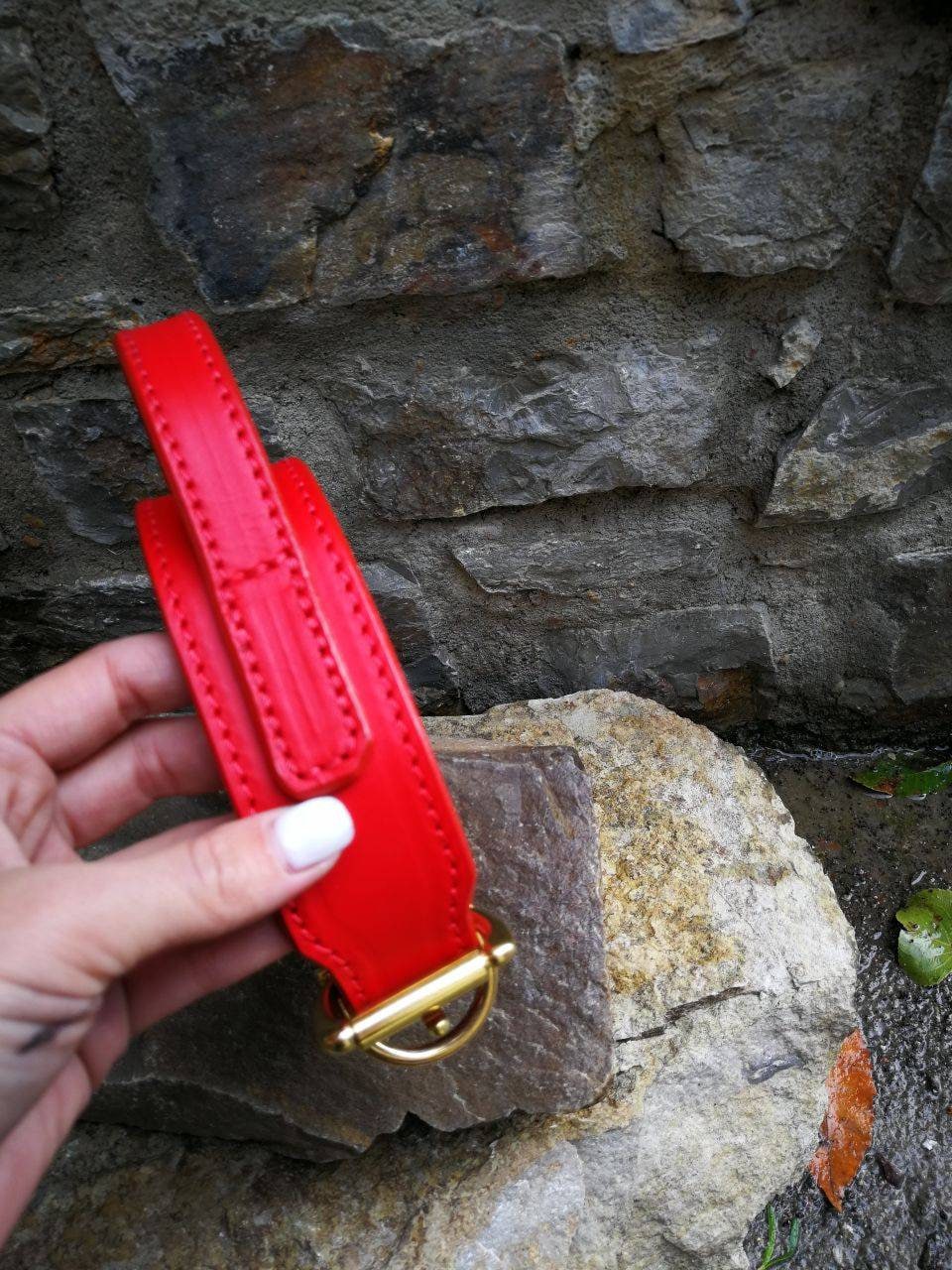Handle Dog Collar Red Leather Handle Dog Collar 2 in Dog Collar with Handle Leather Collar with Brass Hardware