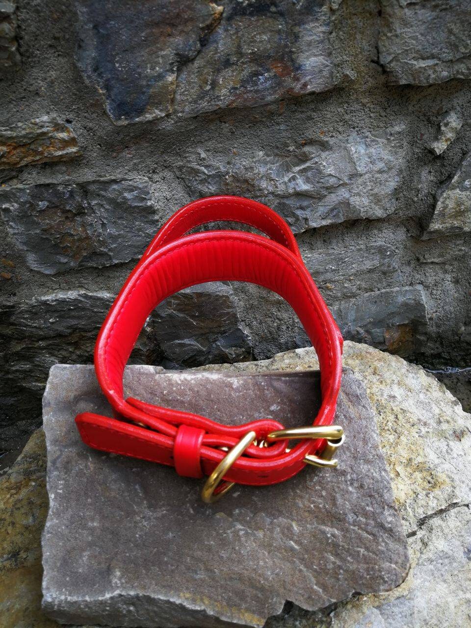 Handle Dog Collar Red Leather Handle Dog Collar 2 in Dog Collar with Handle Leather Collar with Brass Hardware