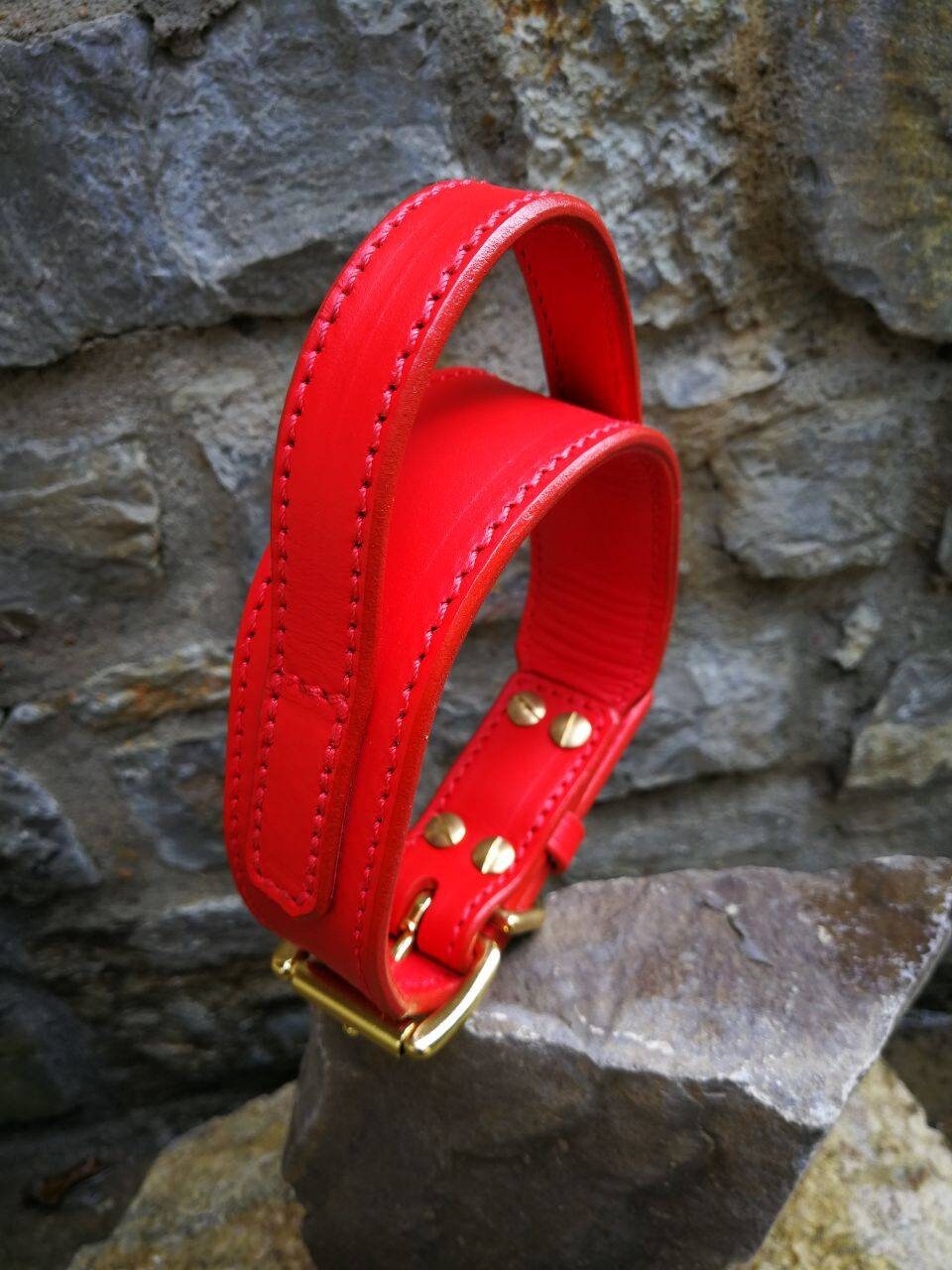 Handle Dog Collar Red Leather Handle Dog Collar 2 in Dog Collar with Handle Leather Collar with Brass Hardware