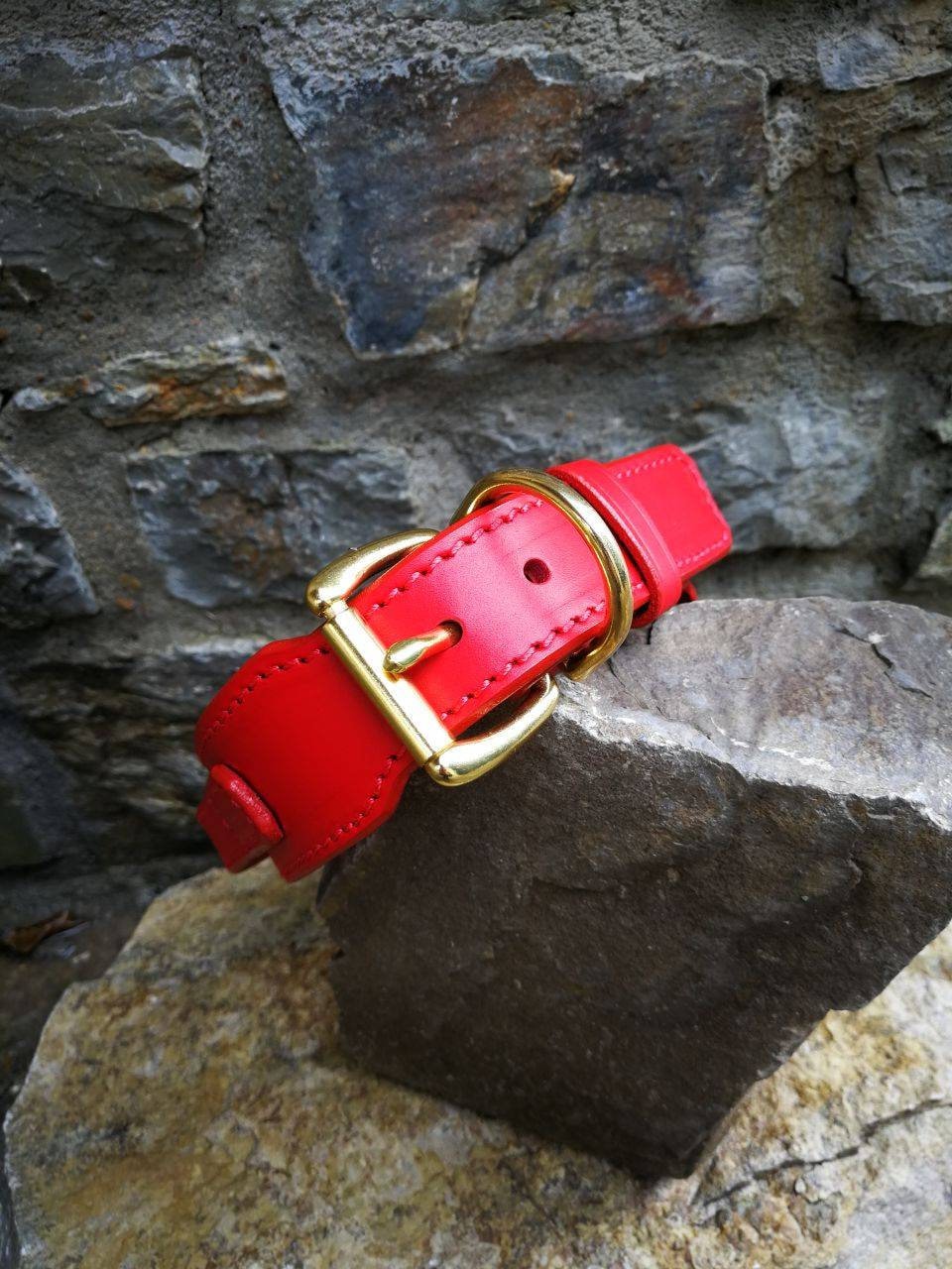 Handle Dog Collar Red Leather Handle Dog Collar 2 in Dog Collar with Handle Leather Collar with Brass Hardware