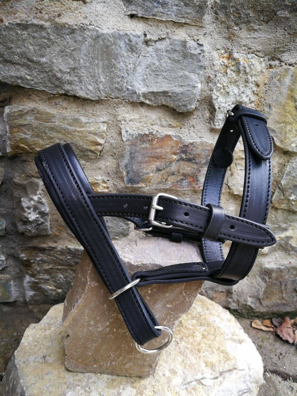 Head Harness for Dog, Halter for dog, head harness for Doberman, German Shepherd, Rottweiler, big dog harness, no pull head collar