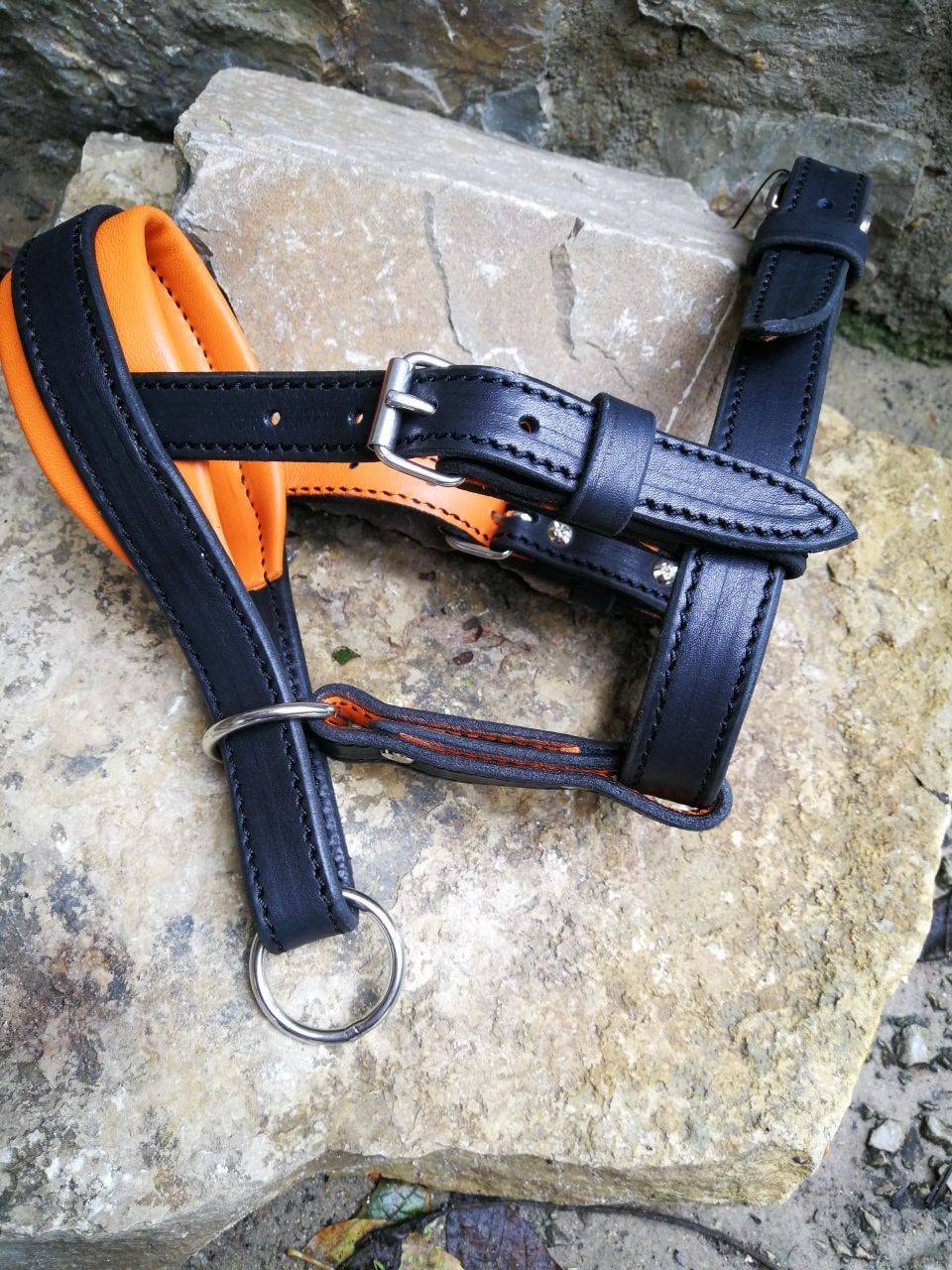 Muzzle Padded Head Collar Dog Head Harness No Pull Headcollar for Dog Muzzle Alternative for Walking head Collar for Big Dogs Head Collar