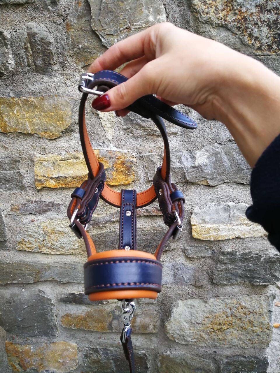 Head Harness Dog Head Collar Leather Padded Head Halter for Dog Training Muzzle Alternative Padded Muzzle Head Collar No Pulling Training