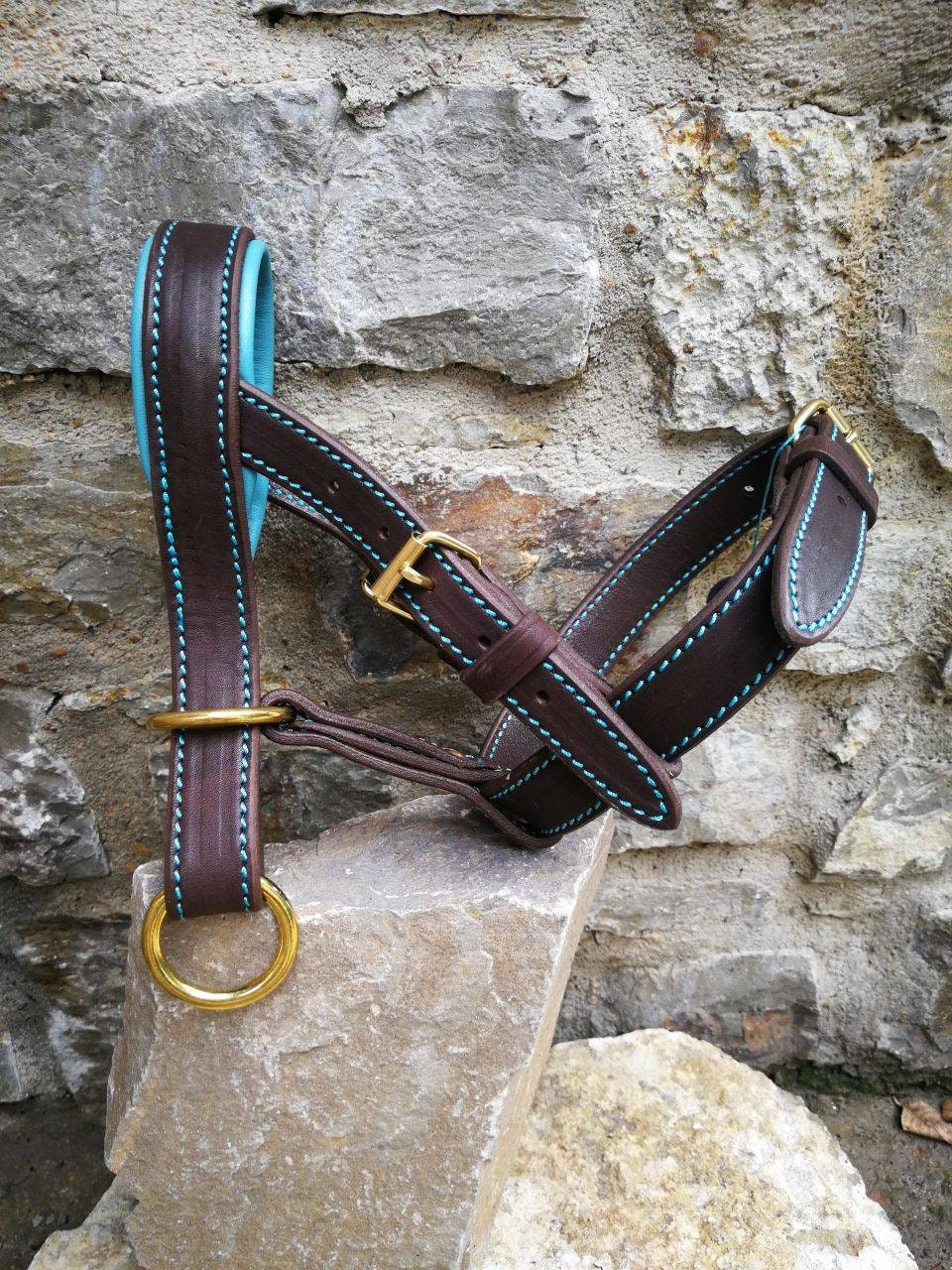 Turquoise Leather Dog Halter, No Pull Dog Halter, Muzzle Alternative for Big Dog, Dog Head Halter, Turquoise Dog Collar, Turquoise Dog Gear