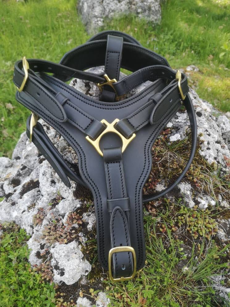 Leather Dog Harness with Handle