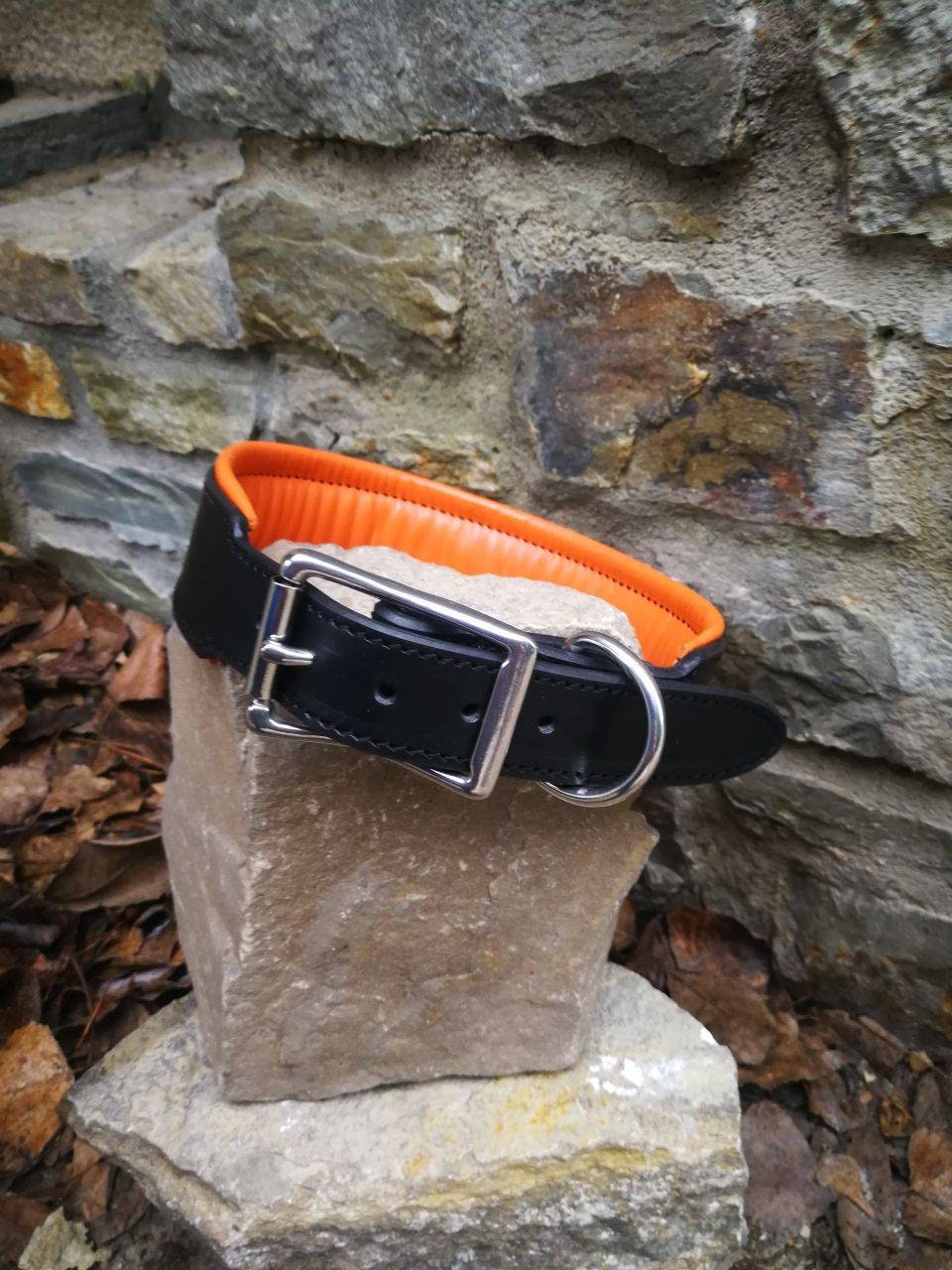 Personalized 2 in Wide Padded Leather Dog Collar with Metal Nameplate, Black Leather Name Plate Collar with Orange Padding and solid buckle