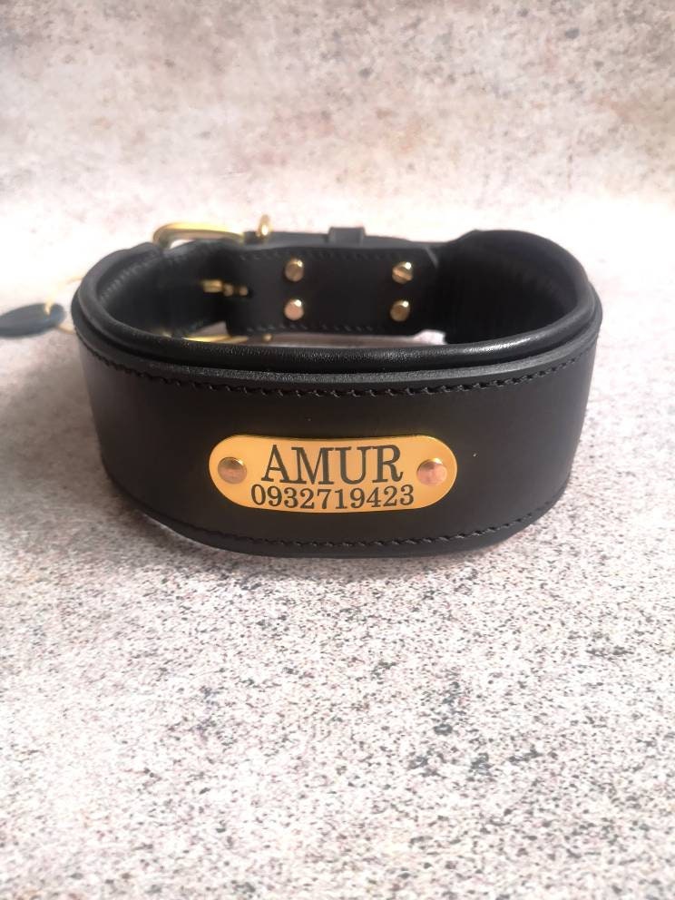 Leather Dog Collar Personalized Dog Collar with Name Plate Leather Collar 3 in Wide Padded Dog Collar for Large Breed, 2 in Leather Collar