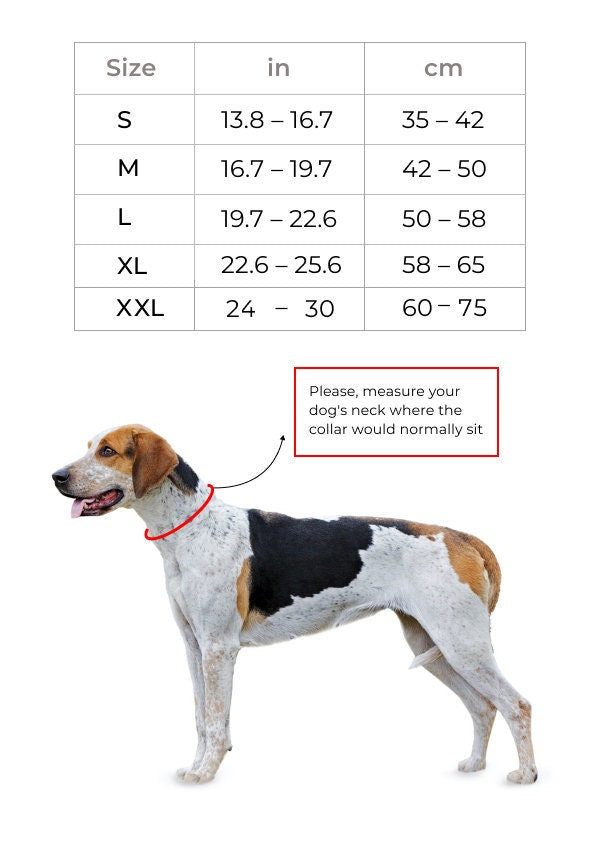 Handle Dog Collar 2 in Wide Leather Collar with Handle 5 cm Wide Leather Dog Collar Padded Black LeatherDog Collar with Red Stitch