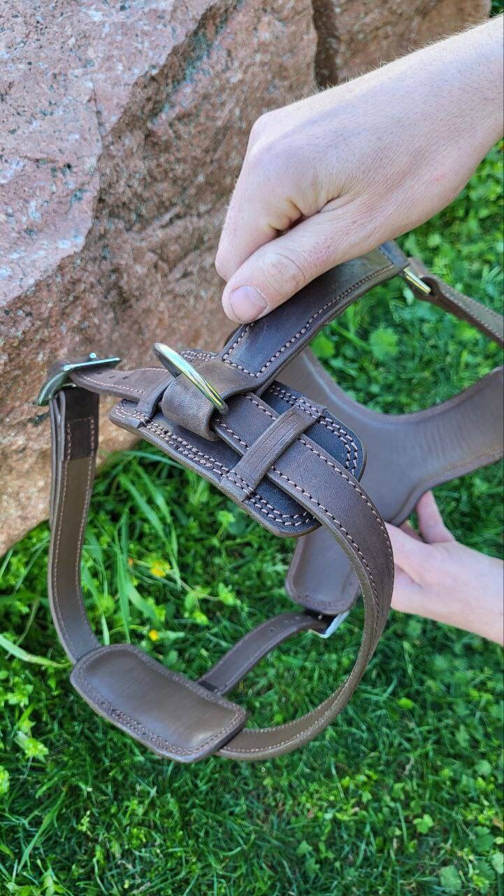 Heavy Duty Leather Harness for Large Dog, Stainless Steel Hardware Leather Dog Harness, Padded Leather Dog Harness, Brown Leather Harness
