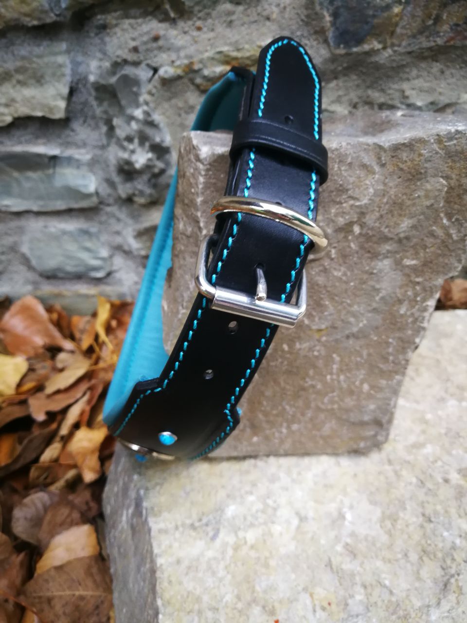Turquoise Flower Dog Collar