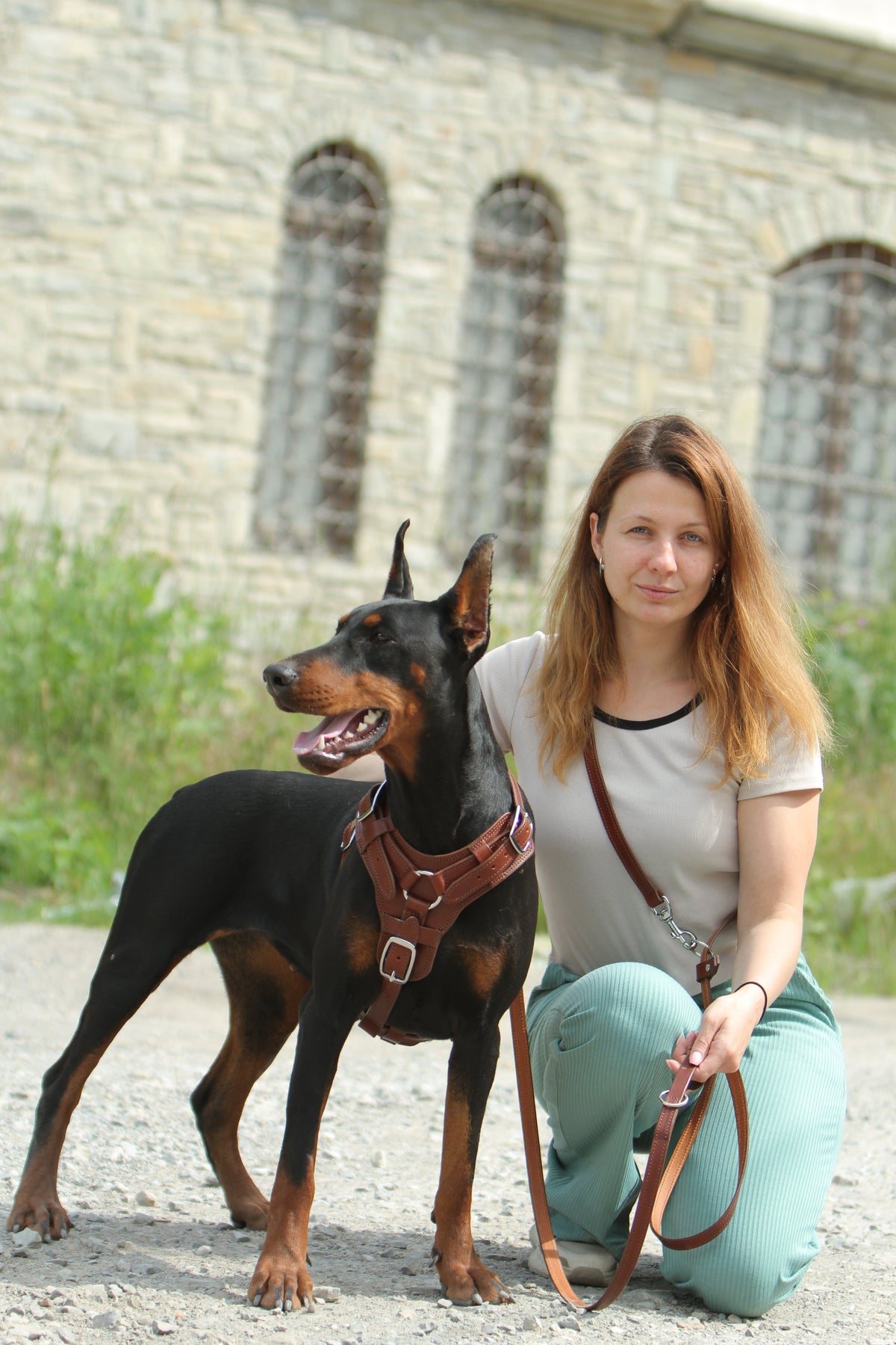 How to Choose the Perfect Harness for a Large Dog