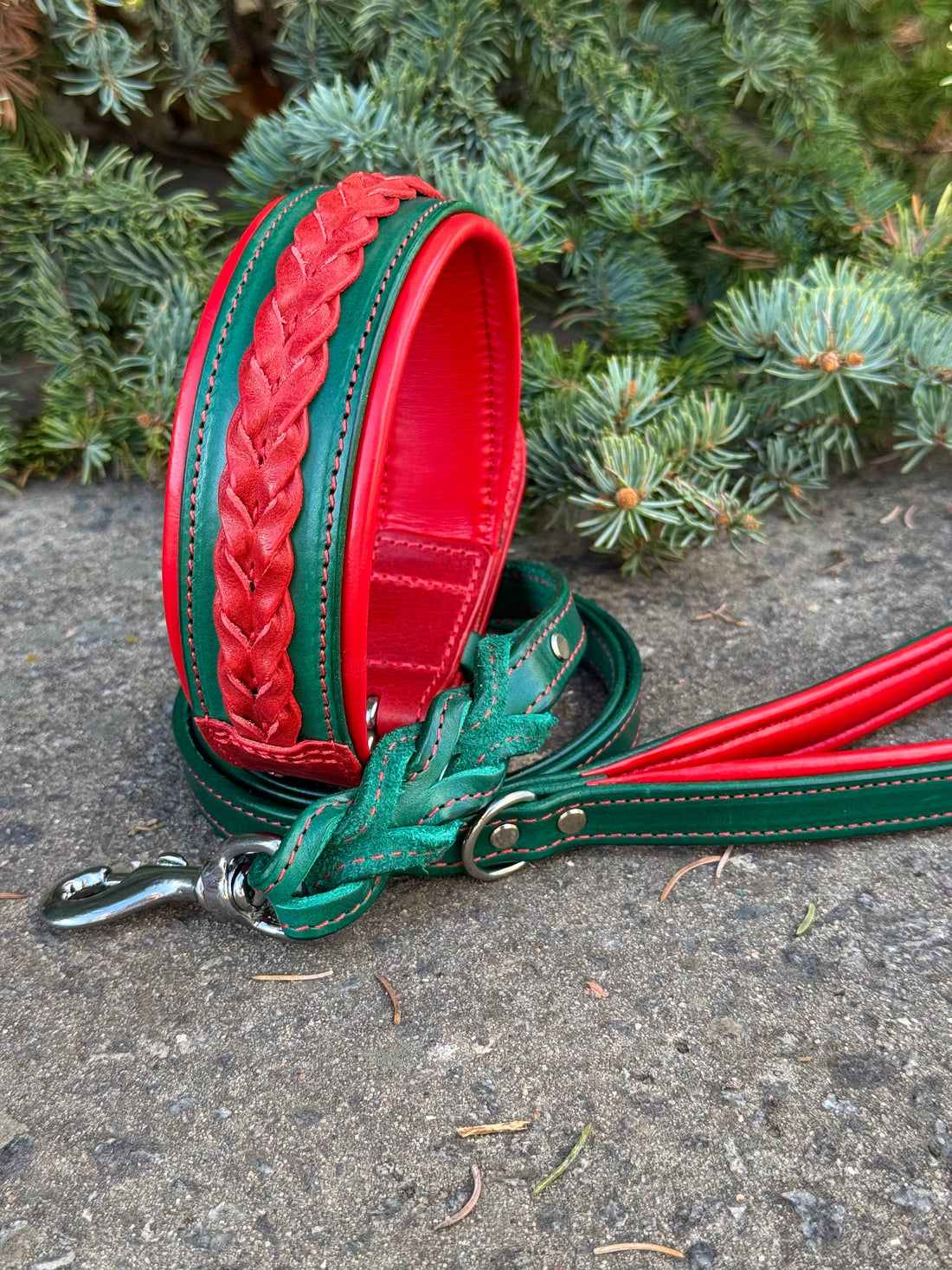 Best Christmas Collar for the Large Dog