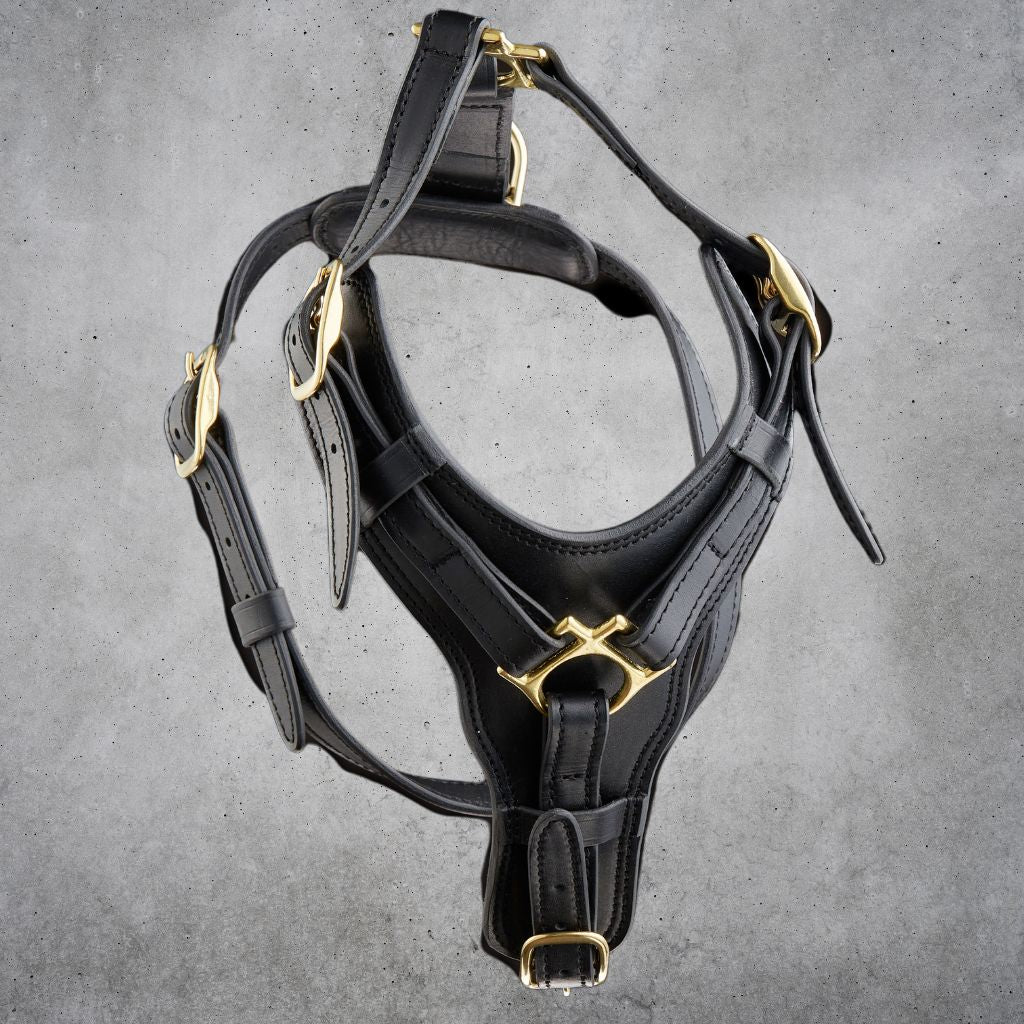 Harnesses
