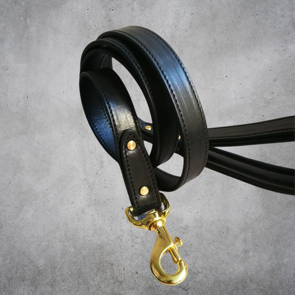 Leashes