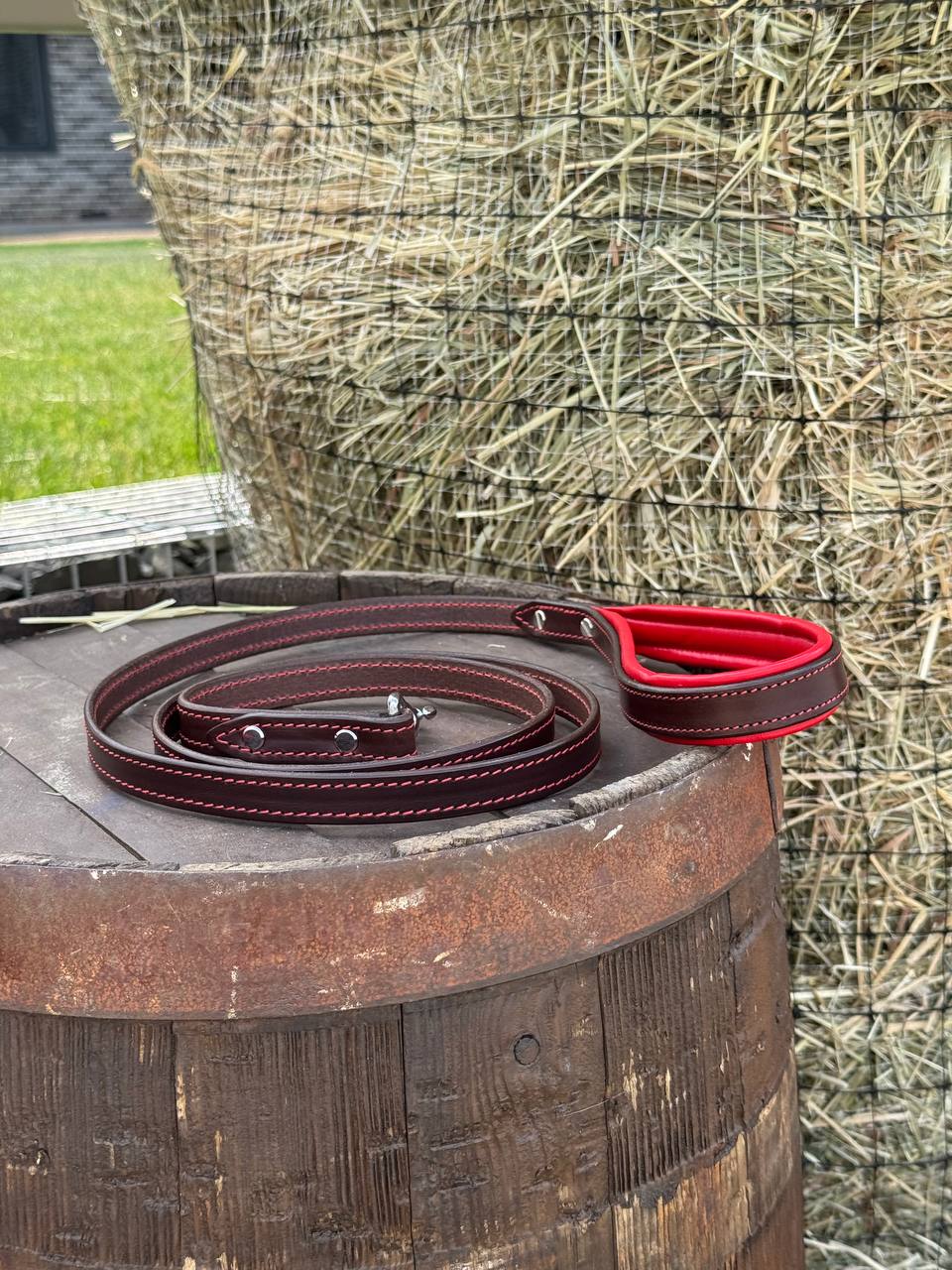 Leather Dog Leash with Soft Padded Handle