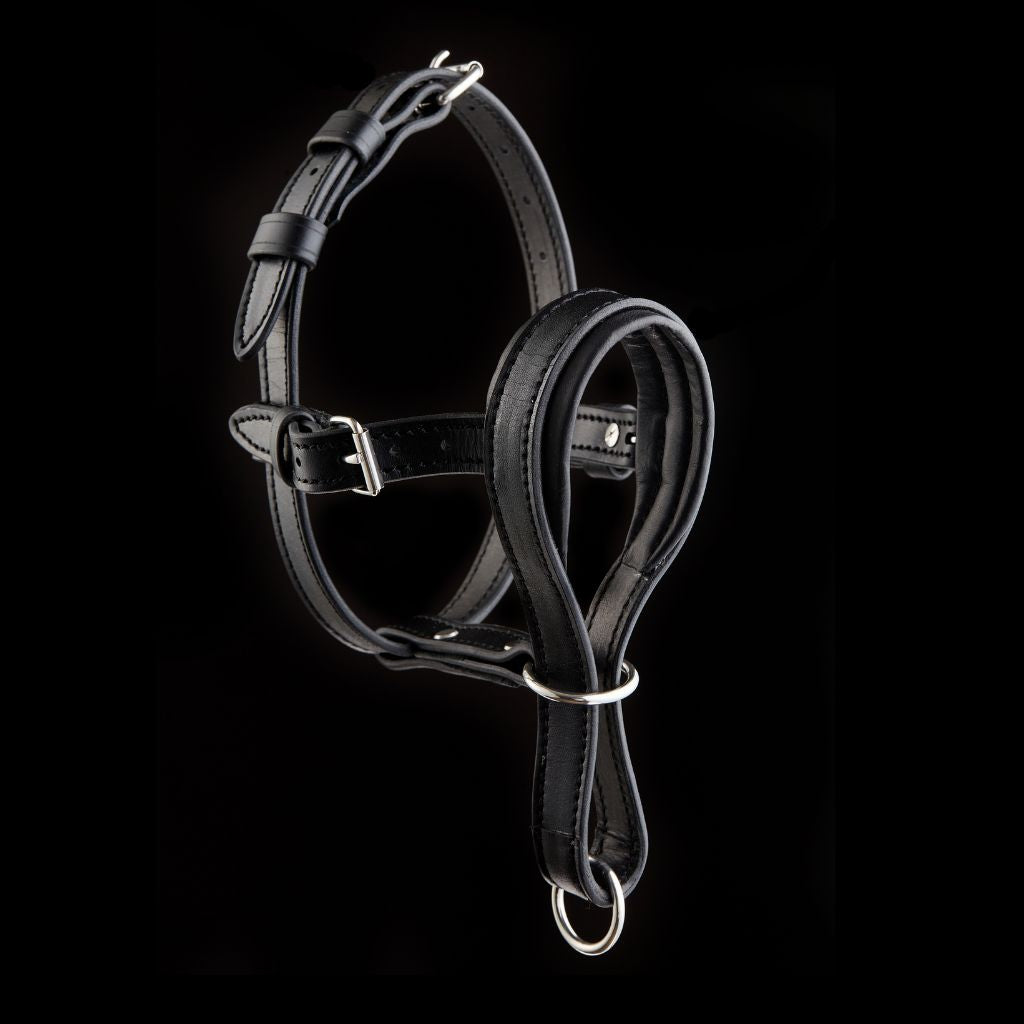 Leather Dog Head Collar No-Pull Walking