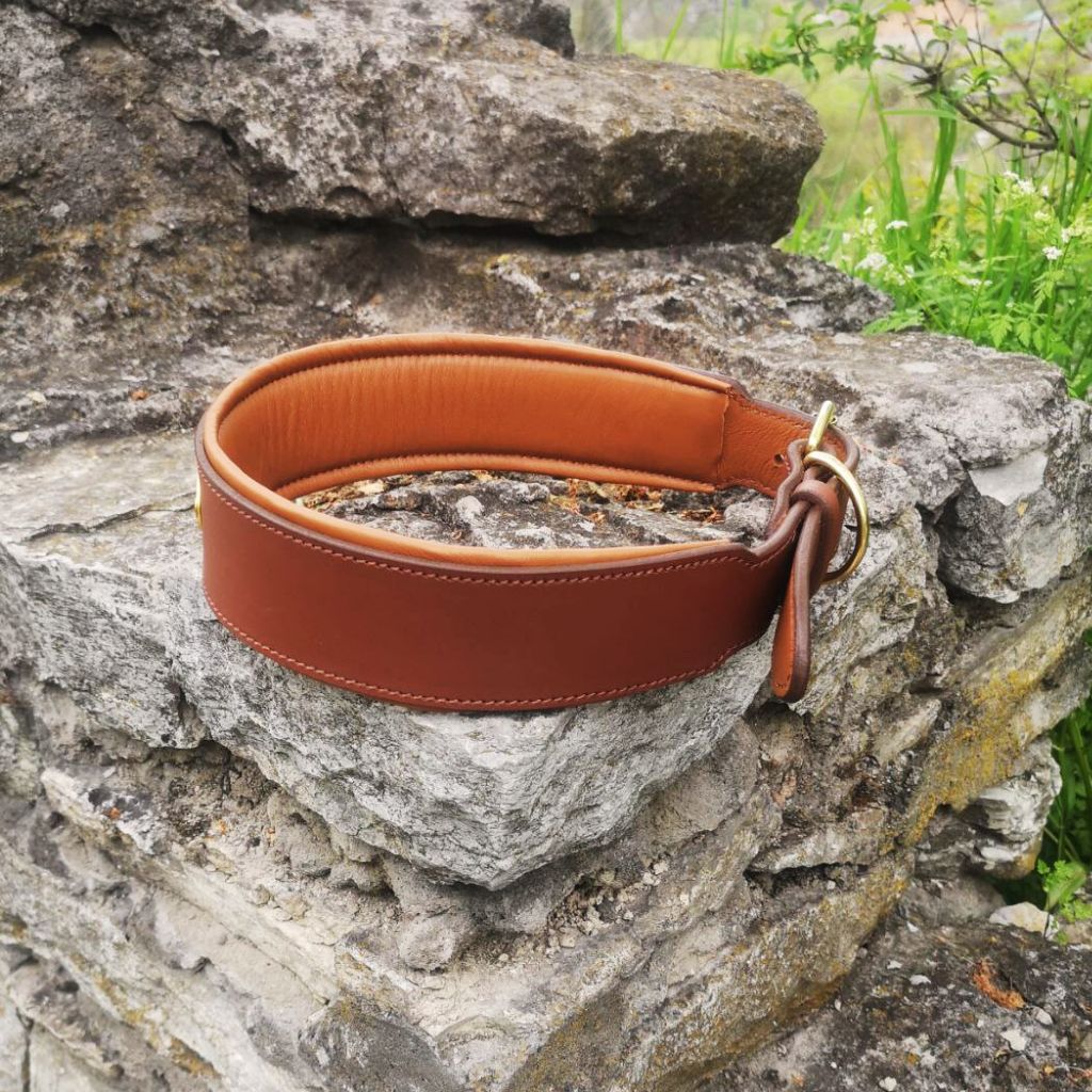 Leather Collar with Brass Nameplate