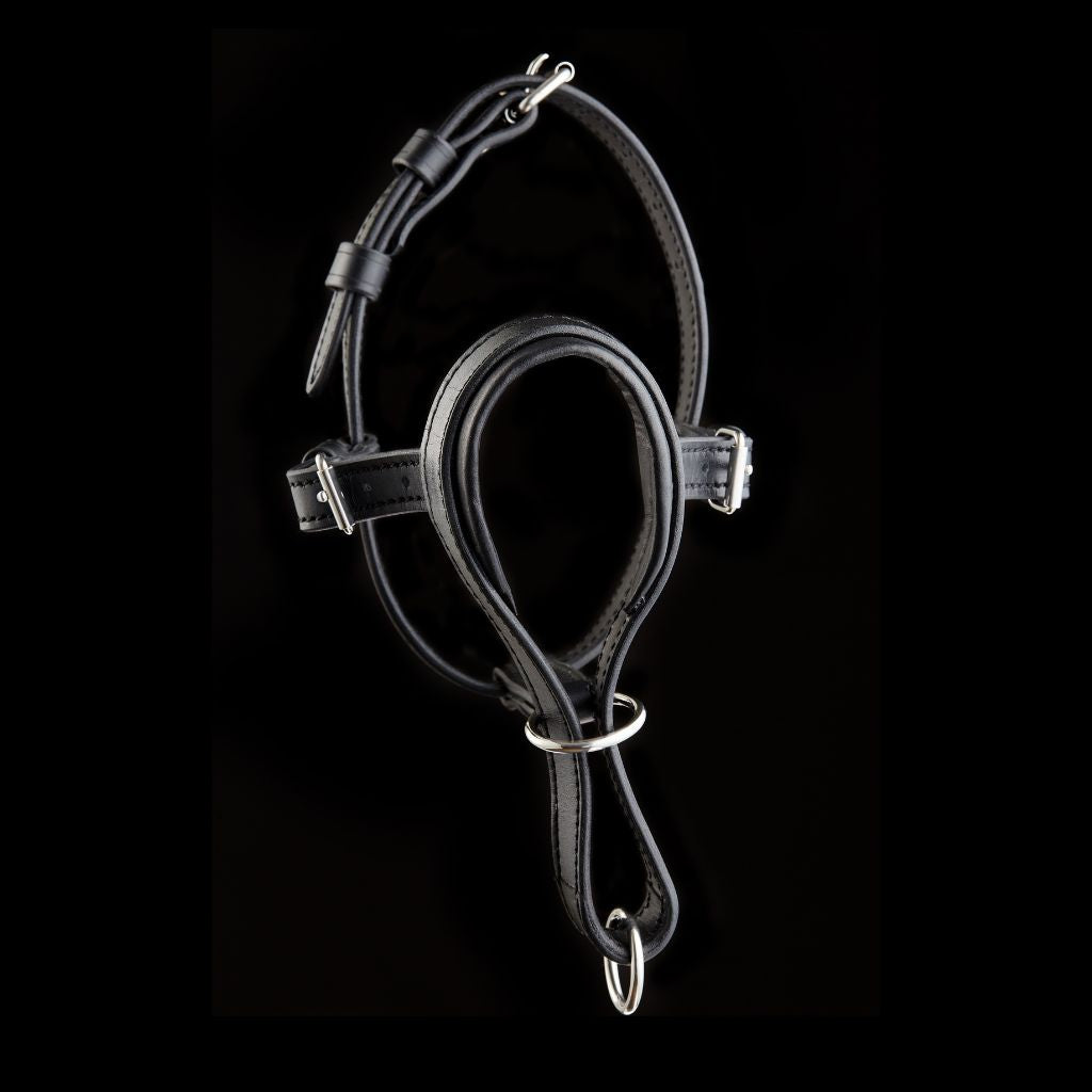 Leather Dog Head Collar No-Pull Walking