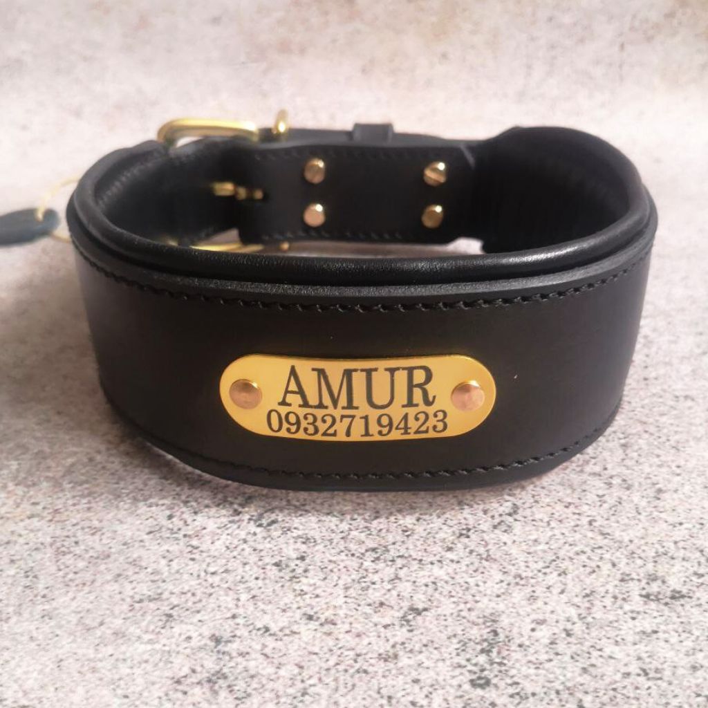 Leather Collar with Brass Nameplate