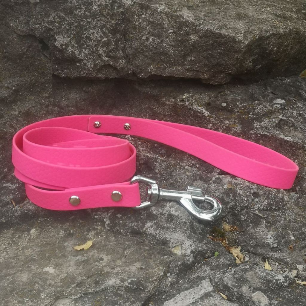 Pink Waterproof Dog Leash