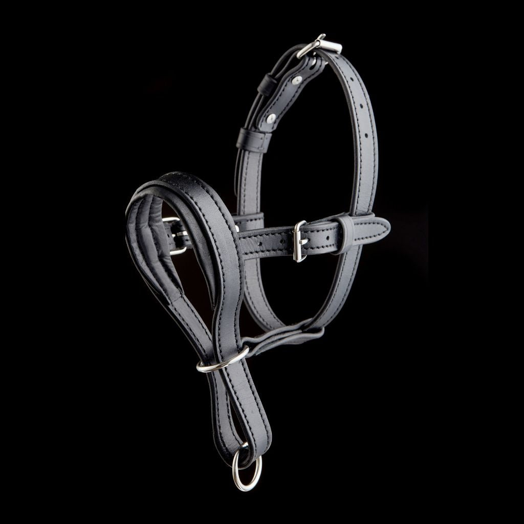 Leather Dog Head Collar No-Pull Walking