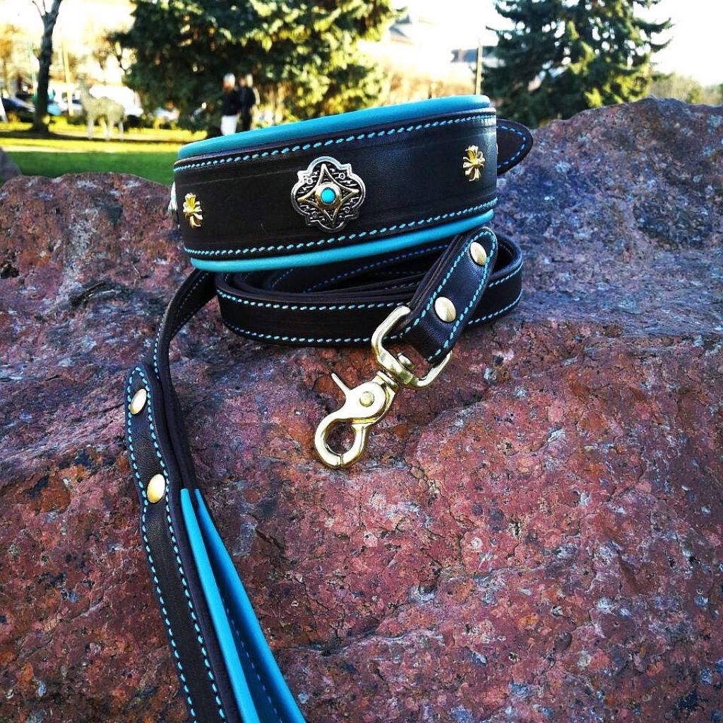 Turquise Dog Collar and Leash Set