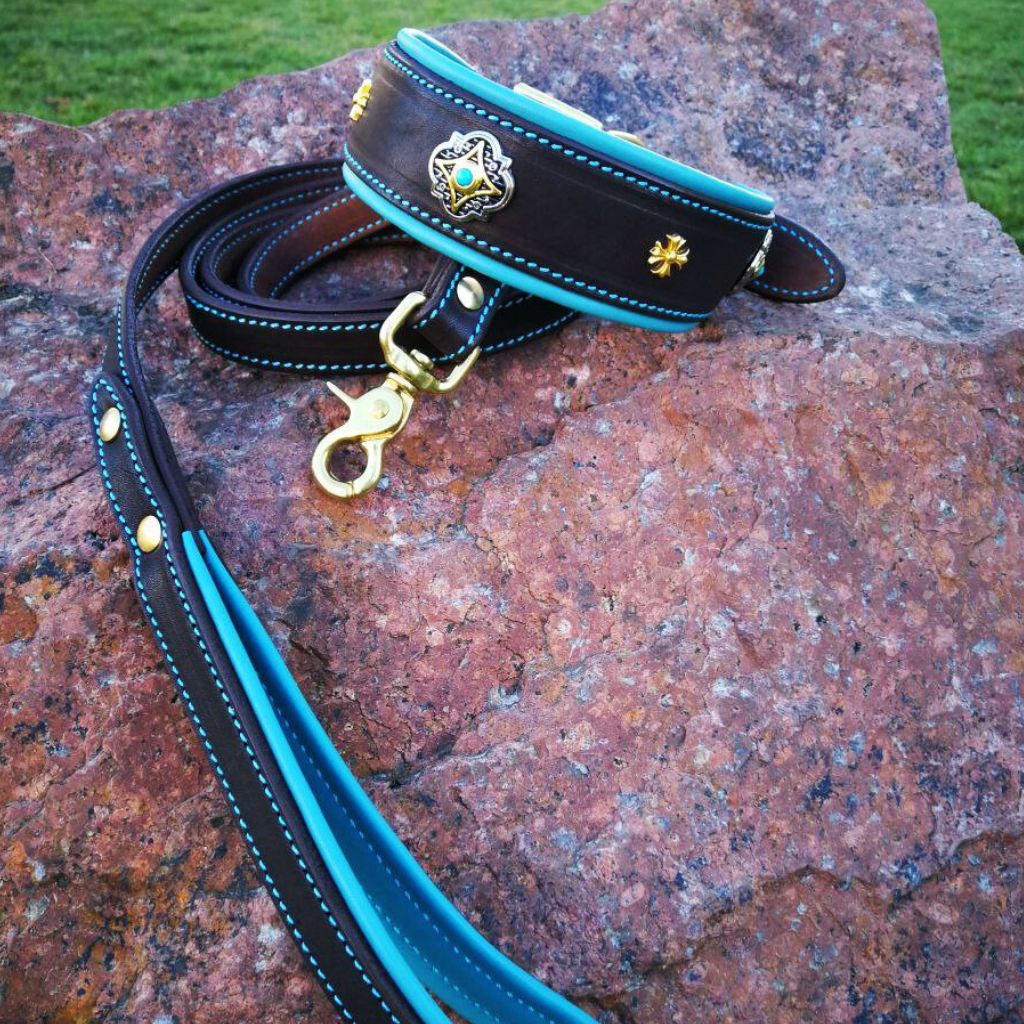 Turquise Dog Collar and Leash Set