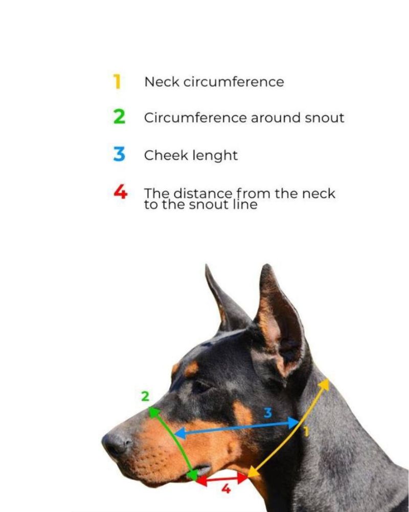 Leather Dog Halti Head Collar