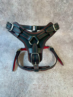 Premium Western Leather Dog Harness Set